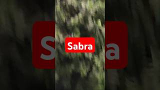 Sabra karne ke kya fayde Hainmotivation shortsviral sabr [upl. by Dragoon573]