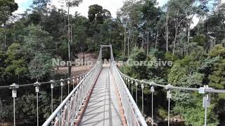 CE FRP Grating Derby Suspension Bridge Tasmania [upl. by Truc805]