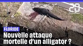 Floride  Un alligator tué après la découverte du corps dune femme dans ses mâchoires [upl. by Ssitnerp]