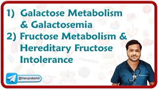 1 Galactose Metabolism amp Galactosemia 2 Fructose Metabolism amp Hereditary Fructose Intolerance [upl. by Miki]