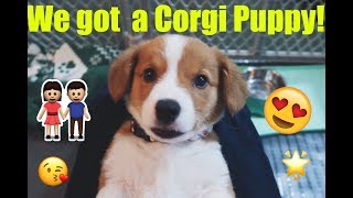 WE GOT A CORGI PUPPY  Puppyhood in 1 Year  Vlog [upl. by Oruam]