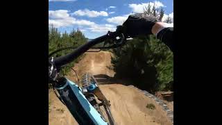 Sketchy Rotorua Riding mountainbiking mtb mountainbike bikepark sendit [upl. by Huckaby65]