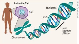 TNPSC GROUP I amp II Science FREE DEMO Class  Types of chromosome disease [upl. by Ardena]