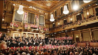 Vienna Philharmonic New Years Concert Neujahrskonzert Waltzes amp Polkas By Strauss [upl. by Tare]