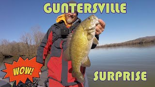 WINTERTIME Shallow CRANKING on GUNTERSVILLE  Surprise Catch [upl. by Fernand371]