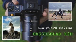 Hasselblad X2D Manual Focus Autofocus Flash Sync Browsers and Goats [upl. by Eiba]