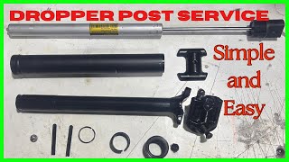 TranzX Dropper Post Service  how to service a dropper post ASMR [upl. by Brey577]