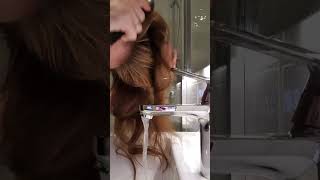 The main ingredience of video RED Hair ASMR Shampooing [upl. by Alecram303]