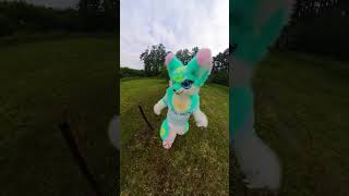 Fox run fallog fox fursuit [upl. by Aelgna]