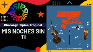 🔥MIS NOCHES SIN TI por CHARANGA TIPICA TROPICAL  Salsa Premium [upl. by Genesia]