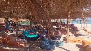 Adventure activities on orange bay Beach  Giftun island Hurghada Snorkeling Trip [upl. by Kristian527]