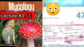 Basic mycology 🛑 LECTURE 3 Chap 47 Difference between fungi and bacteria hyphaeyt Lab diagnosis [upl. by Yssim943]