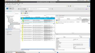 TIBCO BusinessWorks ProcessMonitor Overview [upl. by Elizabet]