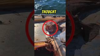 Monkfish Locked His Finger 😱😲 shorts fish satisfying [upl. by Vharat46]