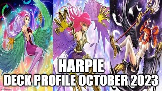 HARPIE DECK PROFILE OCTOBER 2023 YUGIOH [upl. by Delgado]