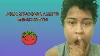 Aplicativo para Assistir Animes Grátis 2024 [upl. by Wooldridge604]