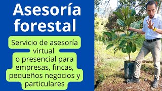 ASESORÍA FORESTAL PROFESIONAL [upl. by Nagiem]