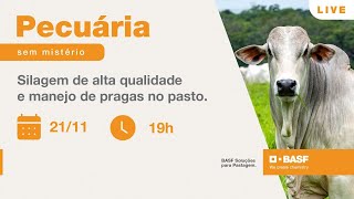 Treinamento Pecuária sem Mistério Silagem de alta qualidade e manejo de pragas no pasto [upl. by Aynekat]