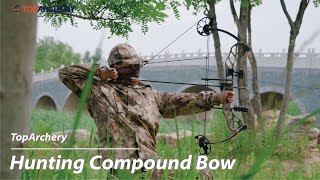 TopArchery Hunting Compound Bow RH 1970lbs [upl. by Natelson]