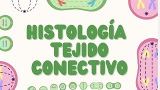 Histología del Tejido Conectivo Estructura y Función [upl. by Aisat]