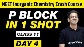 P BLOCK in 1 Shot  All Concepts Tricks amp PYQs  Class 11  NEET [upl. by Ulick]