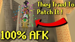 Jagex Tried To Patch AFK Agility But They Failed [upl. by Avilla]