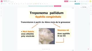 Bacteriologie  Le Treponema Pallidum Syphilis FMPC [upl. by Lahcim]