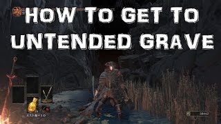 Dark Souls 3 How to get to the Untended Graves Location Guide [upl. by Ayotahc659]