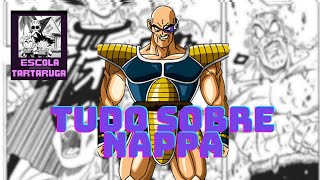 TUDO SOBRE NAPPA [upl. by Kahle]