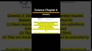 Chapter 6 Tissues Class 9 Notes  Science CBSE Class 9 Question Answers shorts cbse9 cbseclass9 [upl. by Bolan]