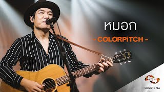 หมอก  จั้ม COLORPITCH  Songtopia Livehouse [upl. by Ziguard]