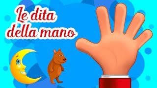 Le dita della mano  Canzoni per bambini MelaEducational [upl. by Winonah]