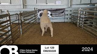 Lot 129  OB230228 [upl. by Ayital]