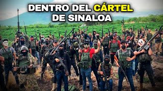 El Cártel de Sinaloa desde adentro así funciona la organización criminal más PODEROSA del mundo [upl. by Mazonson542]