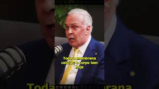 Dr Lair Ribeiro fala sobre a Importância do Colesterol no corpo lairribeiro vidasaudavel [upl. by Noelyn61]