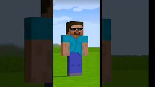 Steve vs Herobrine minecraft [upl. by Aleahcim]