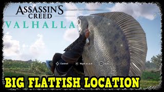 Assassins Creed Valhalla Big Flatfish Location [upl. by Nnalatsyrc]