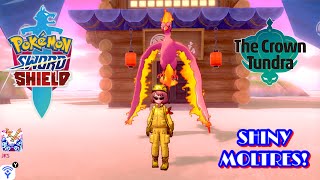 ✨Pokémon Sword amp Shield SHINY MOLTRES IN 67 DYNAMAX ADVENTURES✨ [upl. by Bendicta872]