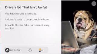 Texas Instructor Taught Drivers Ed From Aceable [upl. by Mak5]