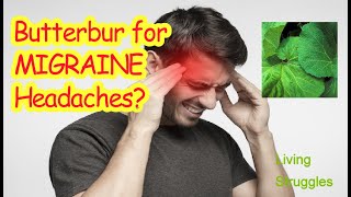 Butterbur for Headaches What You Need to know [upl. by Nomis557]