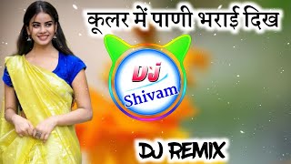 कूलर में पाणी भरयाई दिख ठंडा ठंडा गाल करयाई दिख Dj Remix🔥सिंगर हरिसिंह धोलान❣️Dj Shivam Maharajpura [upl. by Garwood694]