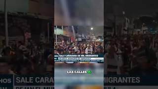 Venezolanos en México ¿Nuevo Futuro o Invasión imigracion deportación usa México [upl. by Africah]