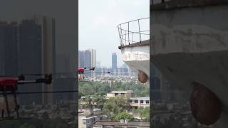 See how a beehive is removed using a drone 😱 shorts [upl. by Riess]