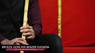 Bir Kızıl Goncaya Benzer Dudağın  Ney [upl. by Oj]