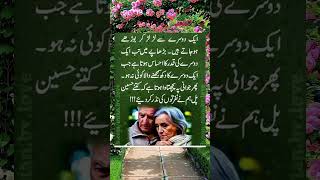 ایک دوسرے flute music cover ringtone recorder quotes backgroundmuisc musiclove duet backgr [upl. by Anelagna733]