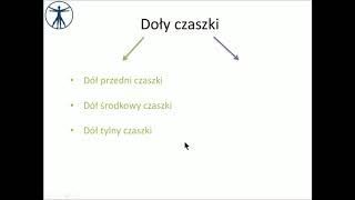 Doły czaszki wstęp PL [upl. by Rehpotsyrhc]