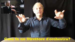 A cosa serve il Direttore dOrchestra Impariamo insieme i gesti [upl. by Nnaecyoj]