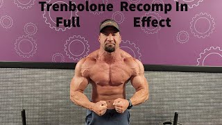 Trenbolone Cycle Update Recomp In Full Effect [upl. by Assiruam187]