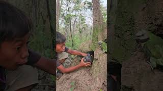 A man sees a dove in a cave with a parrotbird beautiful love [upl. by Boyce]