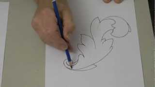 How to Draw Acanthus Leaves for Woodcarving [upl. by Clerk]